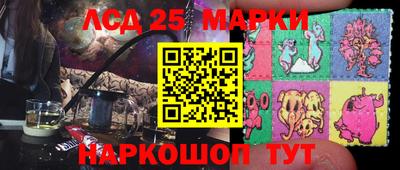 метамфетамин Гатчина