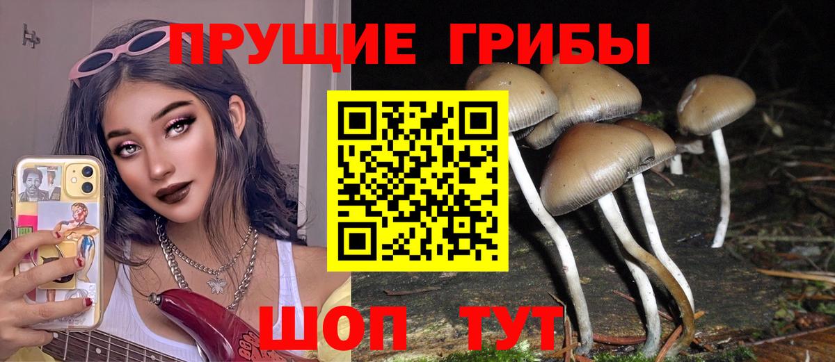 Новокуйбышевск  Галлюциногенные грибы GOLDEN TEACHER  Вход с VPN 