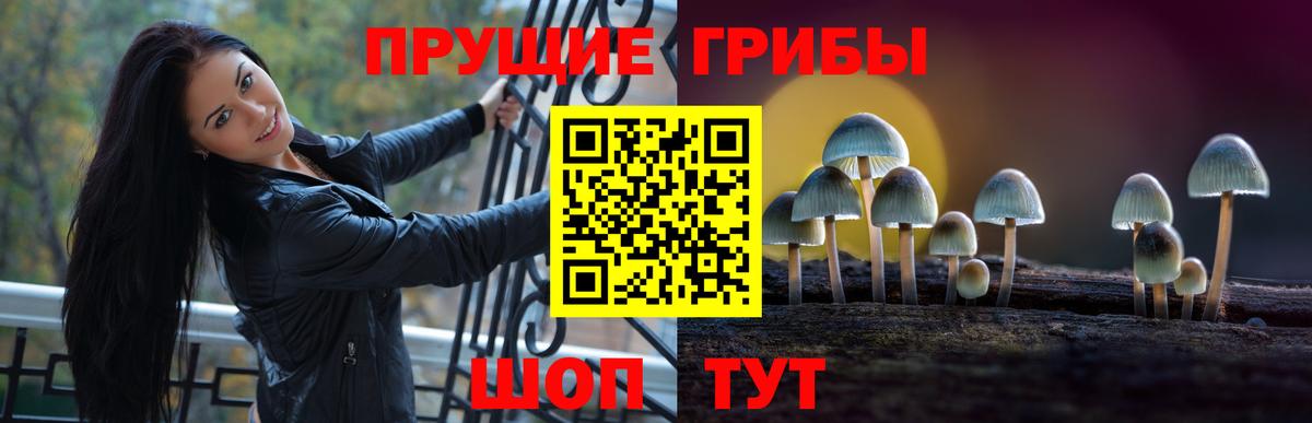 Псилоцибиновые грибы прущие грибы Новокуйбышевск