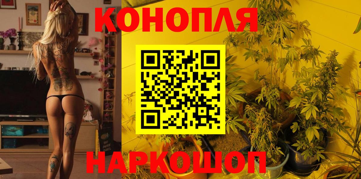 МАРИХУАНА OG Kush  Каннабис тримм  Бошки Шишки White Widow  Вход с VPN  Новокуйбышевск 